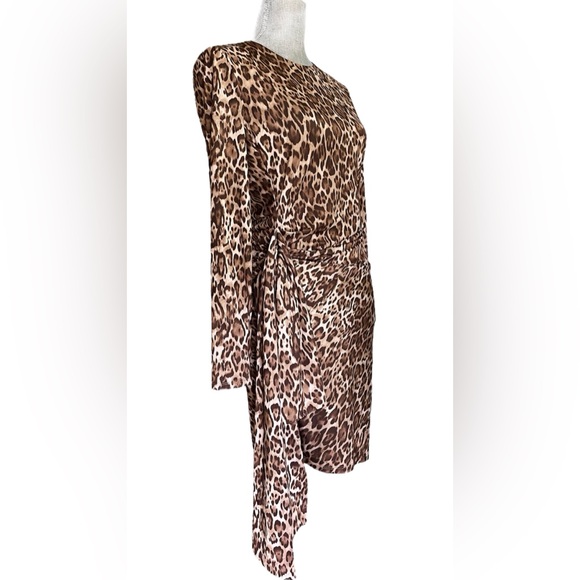 🔥WAYF Leopard woman’s Dress-Small-long sleeves Stretch With Ruched Waist NWOT - Picture 2 of 9